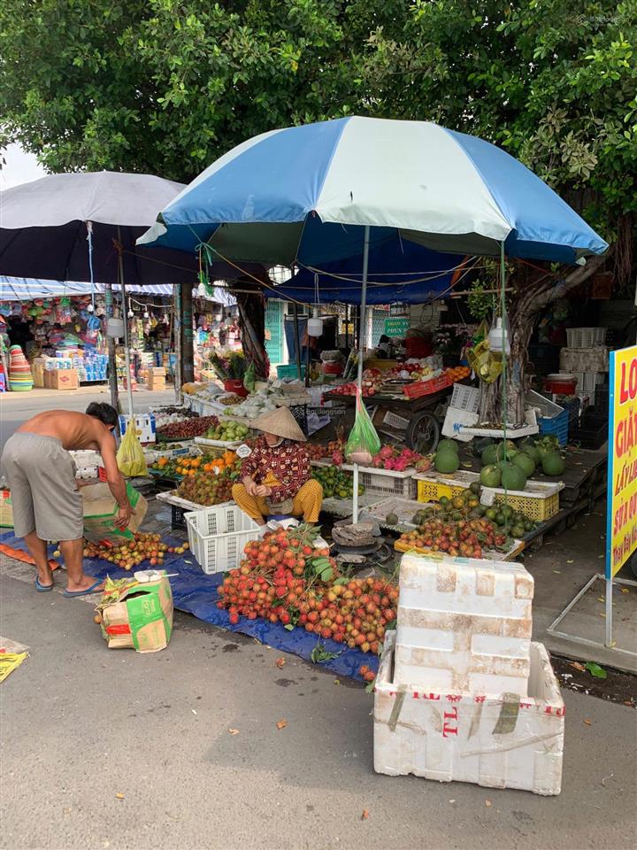 Chính chủ bán gấp 2 lô đất thổ cư 100%. 735tr/nền. 2 nền 10x20m. sổ riêng. ngay mặt chợ đệm tân túc