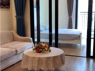 Bán gấp 1pn royal city 55 m2 đã sửa siêu đẹp giá tốt nhất thị trường,  0912 396 *** (mtg)