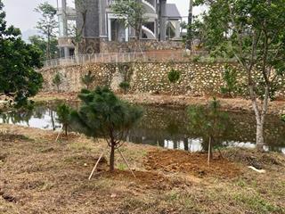 Chính chủ gửi 4400m2 đối diện khu nghỉ dưỡng làng châu âu yên bình thạch thất giá công khai 24 tỷ