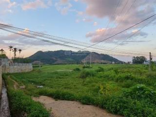 Mặt đường tỉnh lộ 446, chủ cần bán 1400m2 400m2 thổ cư, view cánh đồng tại yên bình thạch thất