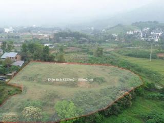 Chính chủ gửi bán 4223m2 đất 2 mặt đường phù hợp nghỉ dưỡng, đầu tư tại tiến xuân, thạch thất