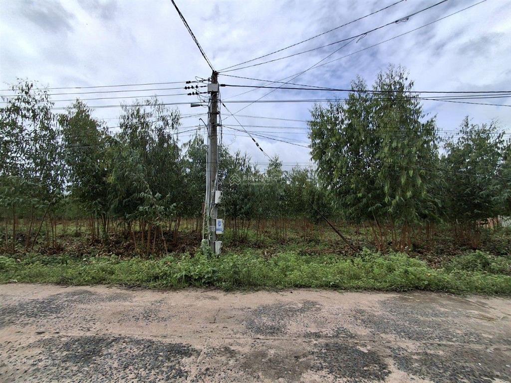 Chính chủ cần bán 10 000 m2 đất sát ql55 tại xã tân xuân, huyện hàm tân (63 *135m) nở hậu