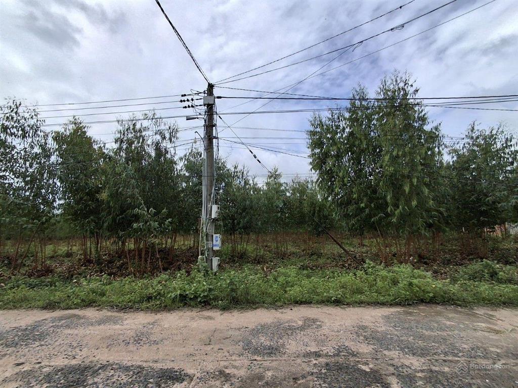 Chính chủ cần bán 10 000 m2 đất sát ql55 tại xã tân xuân, huyện hàm tân (63 *135m) nở hậu