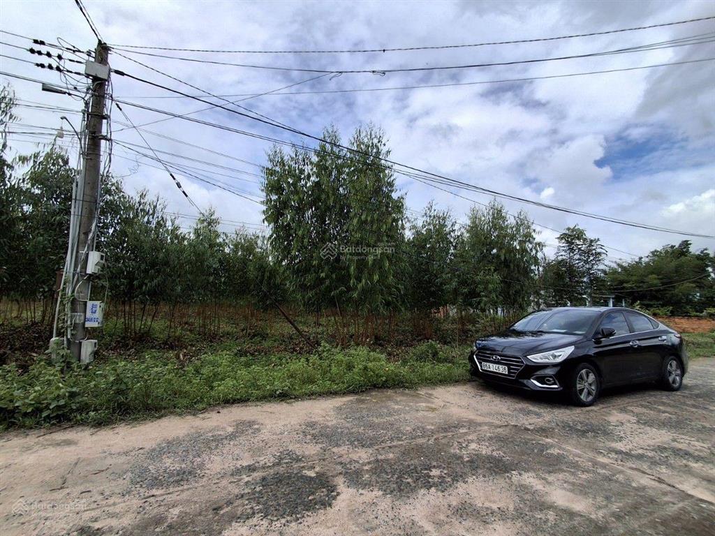 Chính chủ cần bán 10 000 m2 đất sát ql55 tại xã tân xuân, huyện hàm tân (63 *135m) nở hậu