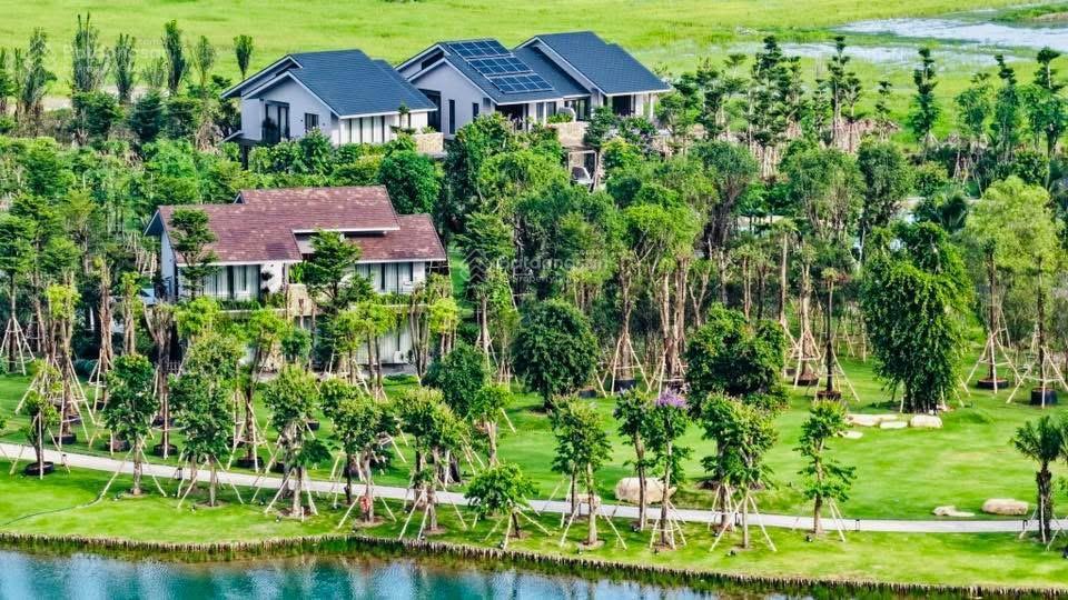 Townhouse, town villa, villa song lập, đơn lập khu mùa lễ hội mua trực tiếp cđt ecoparkecoretreat