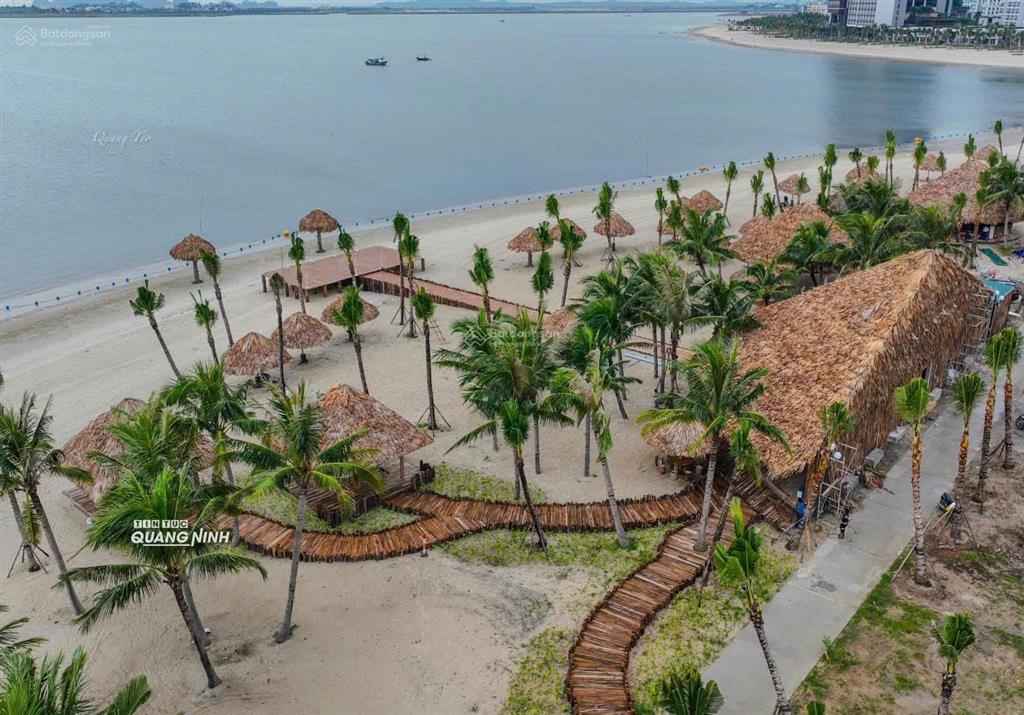 Bán căn 1pn dự án aria bay hạ long, chiết khấu 18%, quà tặng 500 triệu, view thẳng biển