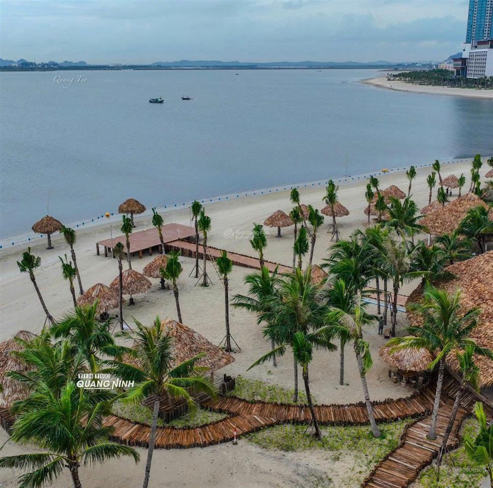 Bán căn 1pn dự án aria bay hạ long, chiết khấu 18%, quà tặng 500 triệu, view thẳng biển