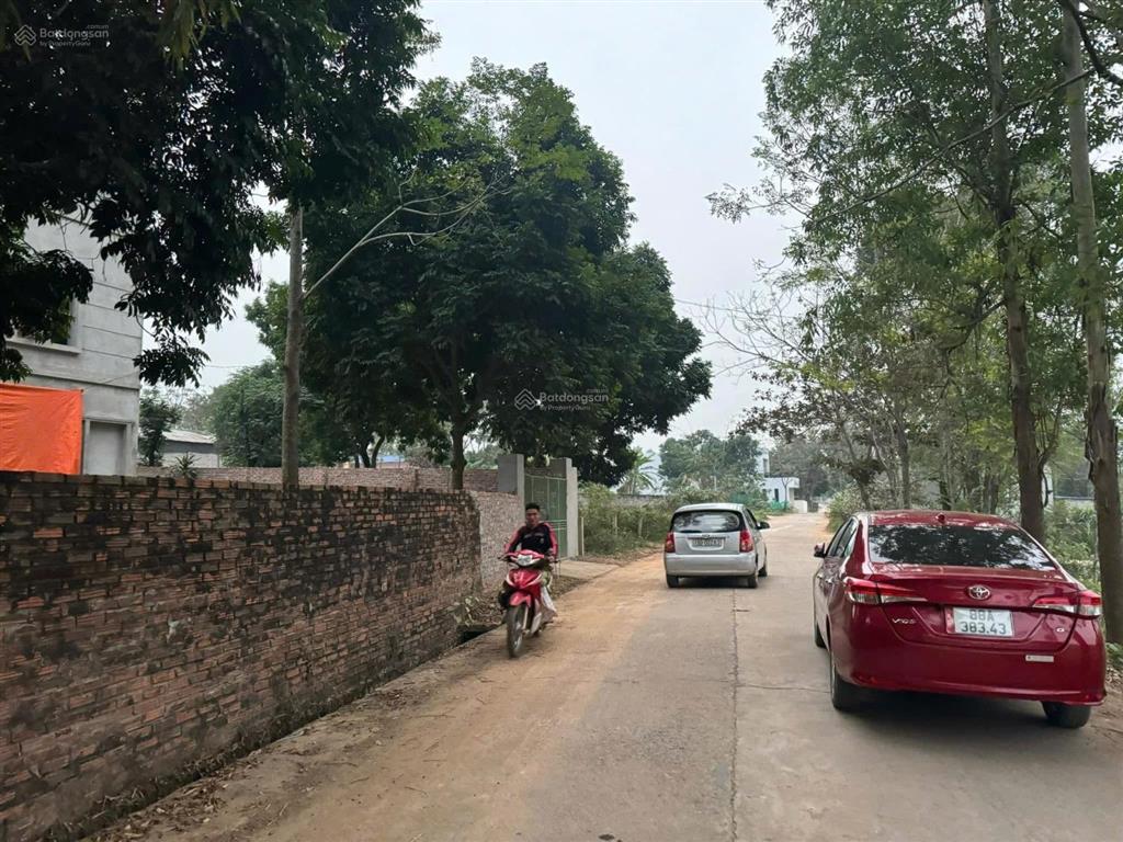 Bán đất tại hướng đạo, tam dương, vĩnh phúc giá tốt, 6,6 tỷ, 1039,2 m2