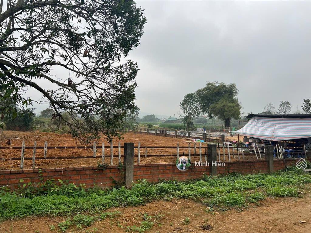 Sở hữu siêu phẩm đất nghỉ dưỡng yên bài, ba vì 1086m2, đơn giá mềm