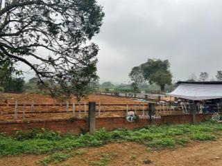 Sở hữu siêu phẩm đất nghỉ dưỡng yên bài, ba vì 1086m2, đơn giá mềm