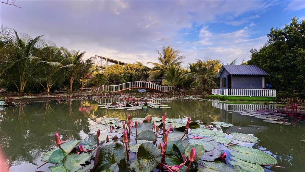 Đất chính chủ, khu nghỉ dưỡng 12.000m2 bà rịa vũng tàu