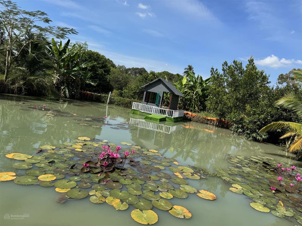 Đất chính chủ, khu nghỉ dưỡng 12.000m2 bà rịa vũng tàu