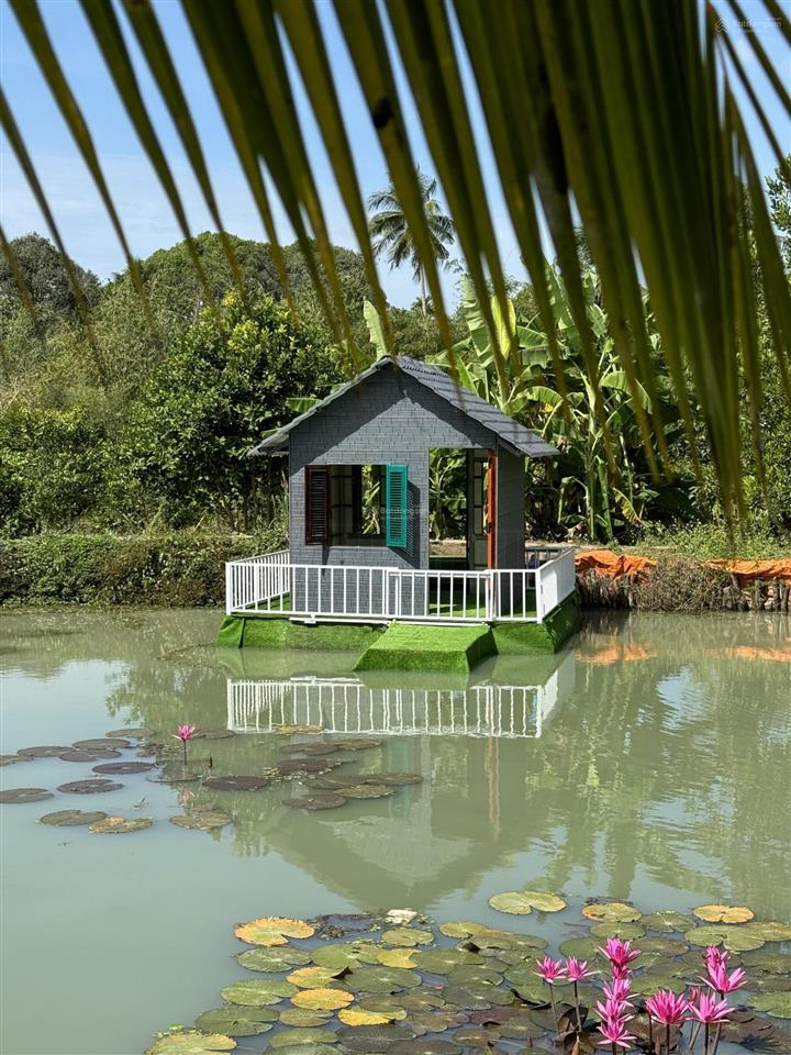 Đất chính chủ, khu nghỉ dưỡng 12.000m2 bà rịa vũng tàu