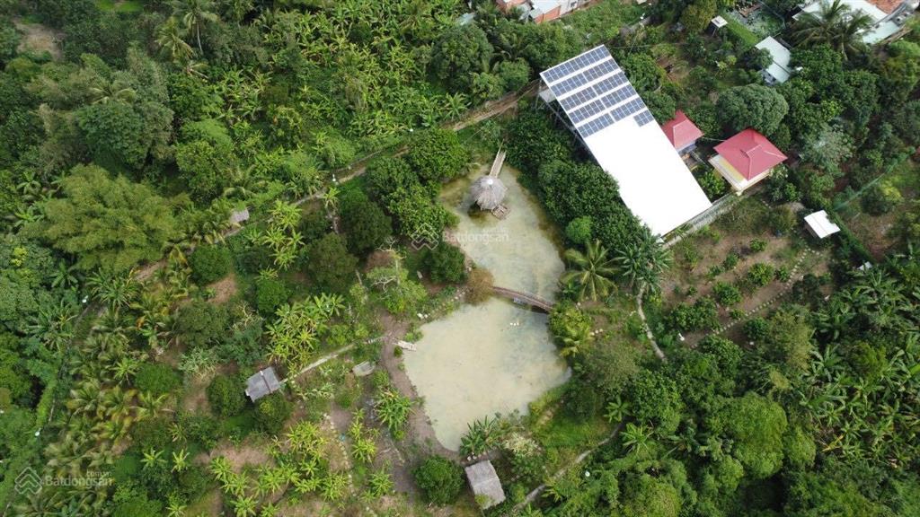 Đất chính chủ, khu nghỉ dưỡng 12.000m2 bà rịa vũng tàu