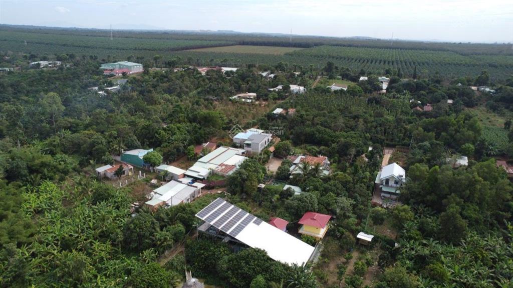 Đất chính chủ, khu nghỉ dưỡng 12.000m2 bà rịa vũng tàu