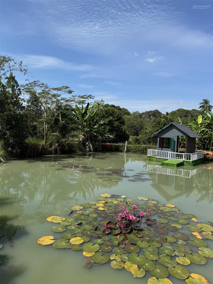 Đất chính chủ, khu nghỉ dưỡng 12.000m2 bà rịa vũng tàu