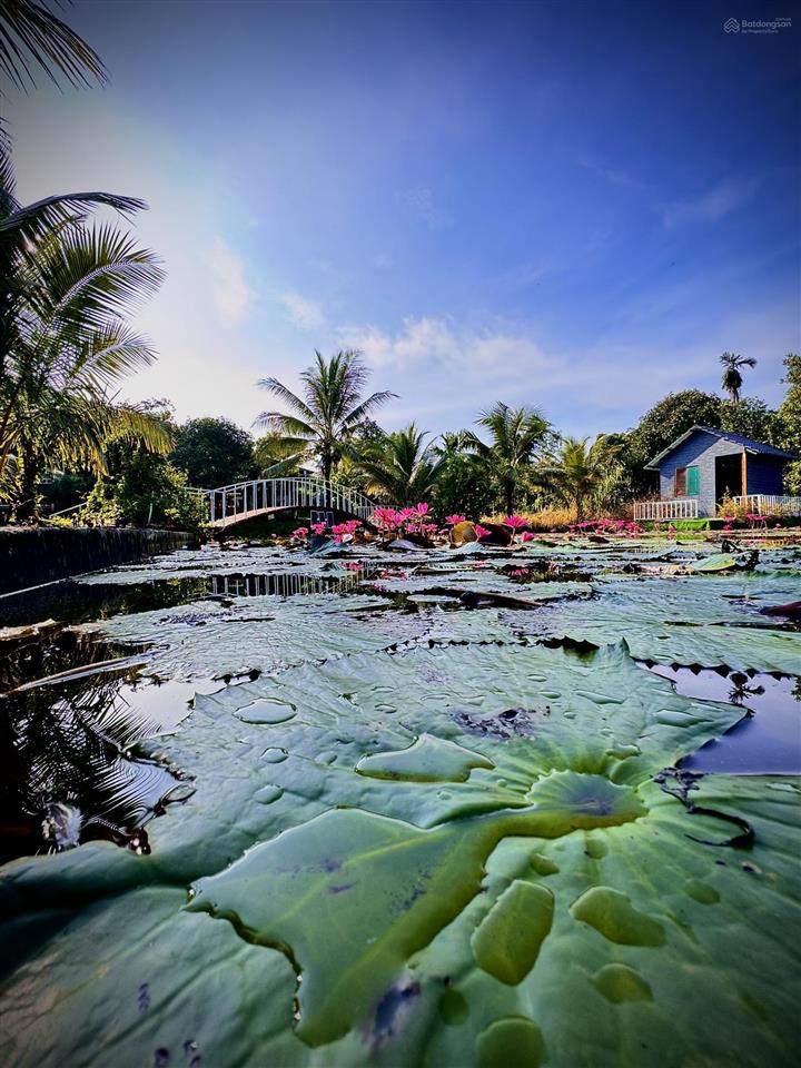 Đất chính chủ, khu nghỉ dưỡng 12.000m2 bà rịa vũng tàu