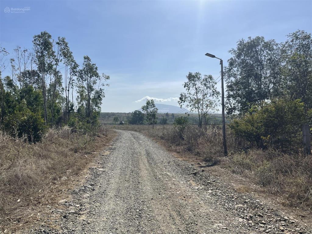 Bán vài mảnh vườn giá tốt nhất kv gần đường dẫn hàm kiệm  tiến thành về dự án novaworld phan thiết