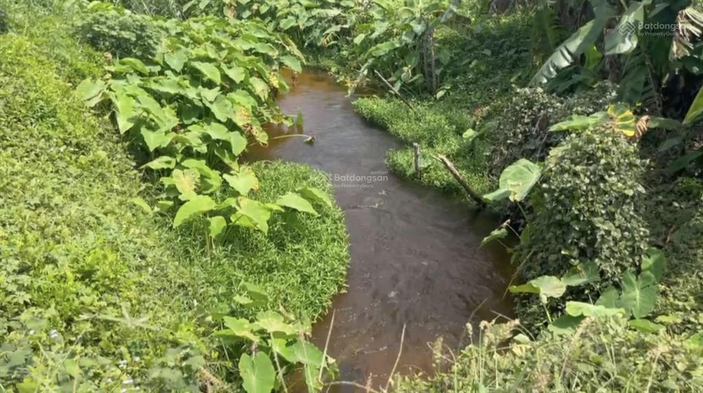 Bán đất vườn hướng biển giáp suối xã hàm cường giáp hàm kiệm