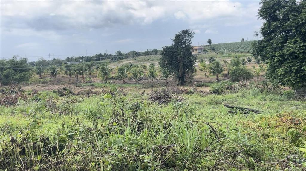 Bán đất vườn hướng biển giáp suối xã hàm cường giáp hàm kiệm