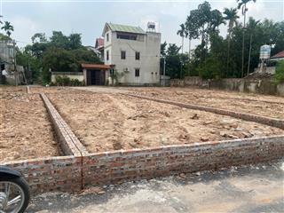 Bán đất tại tích lộc, phúc thọ, hà nội, 990 triệu, 43 m2