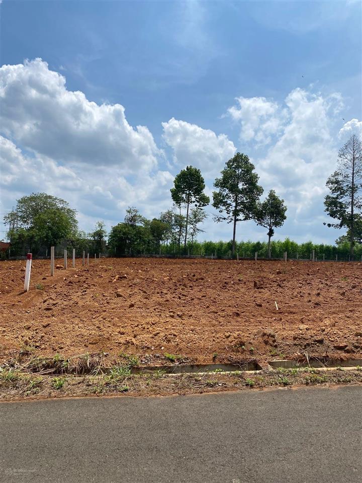 Bán đất 1200m2 mặt tiền đường nhựa 20m hưng bình 1 hưng thịnh trảng bom, giá cực tốt