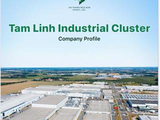 Cơ hội đầu tư 1ha đất công nghiệp tại cụm cn tam linh nga sơn cho chế biến thực phẩm, kho lạnh