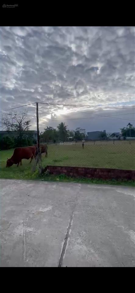 Bán gấp đất hà tây 2 lô góc ,dt 210(10x21) giá 2,5 tỷ