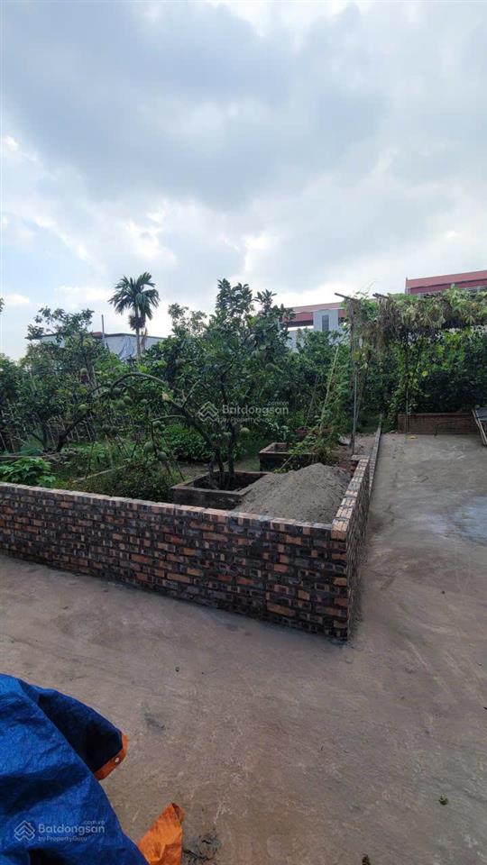 Cc gửi bán full thổ cư tại xã tráng việt, huyện mê linh nay thuộc xã mê linh, ngay bìa làng
