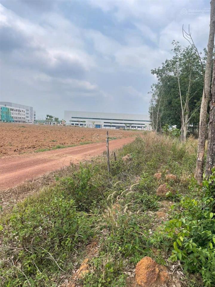 Bán gấp lô đất gần kcn 1050 m2 bán 190 triệu, mặt tiền đường 19m