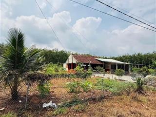 Bán lô đất vườn ngay tuyến số 3 vào ngang 23m sâu 43 hơn 1000m2 bán 239 tr, gần kcn