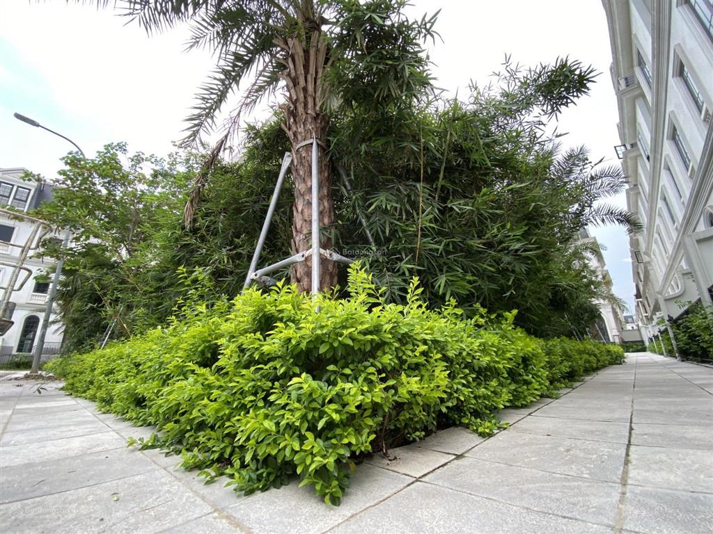 Chính chủ cần tiền bán gấp lk view vườn hoa siêu rẻ chỉ 30 tỷ. 0979 857 ***