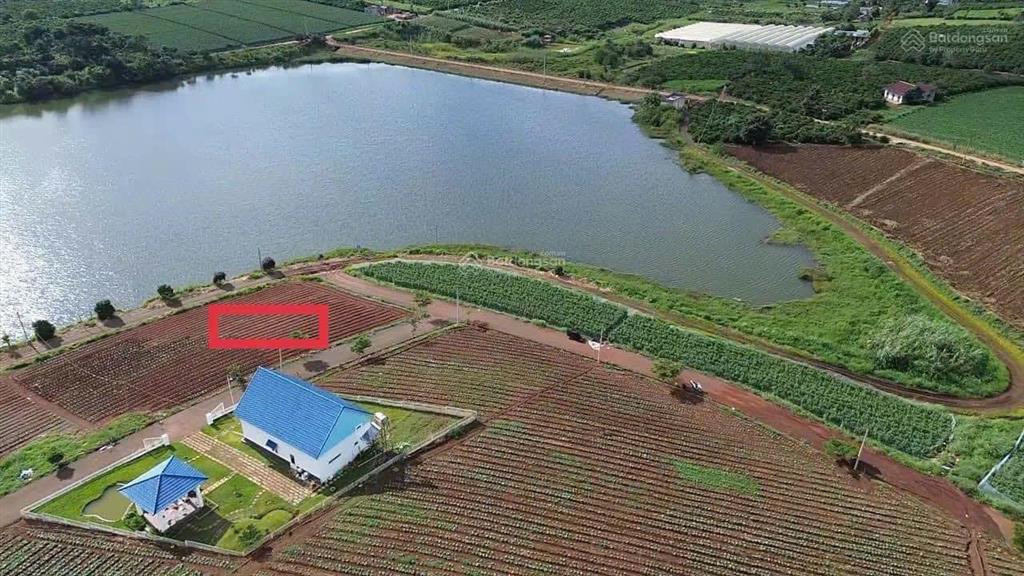 427m2 sát ven hồ phúc hưng, lâm hà chỉ 1tỷ250. full thổ cư 2 mặt tiền đường trực diện hồ