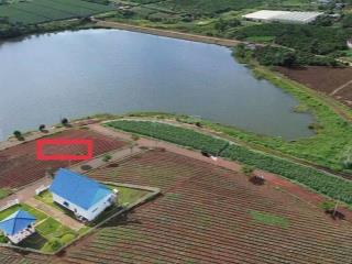 427m2 sát ven hồ phúc hưng, lâm hà chỉ 1tỷ250. full thổ cư 2 mặt tiền đường trực diện hồ