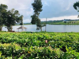 Giá đầu tư được 799tr cho 355m2 đất thổ cư sát hồ phúc hưng lâm hà, ven đà lạt