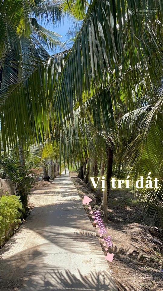 Dt 129m2 em bán giá 165 triệu, cách sông 100m xung quanh bao bởi vườn dừa mát mẻ. từ sg về 65km