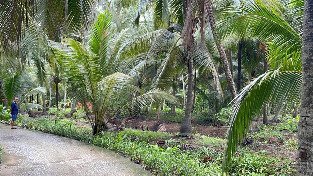 Đất vườn dừa 144m2 (100m2 thổ cư) chỉ 250tr. cách tphcm 75km, cách đường nhựa chỉ 80m