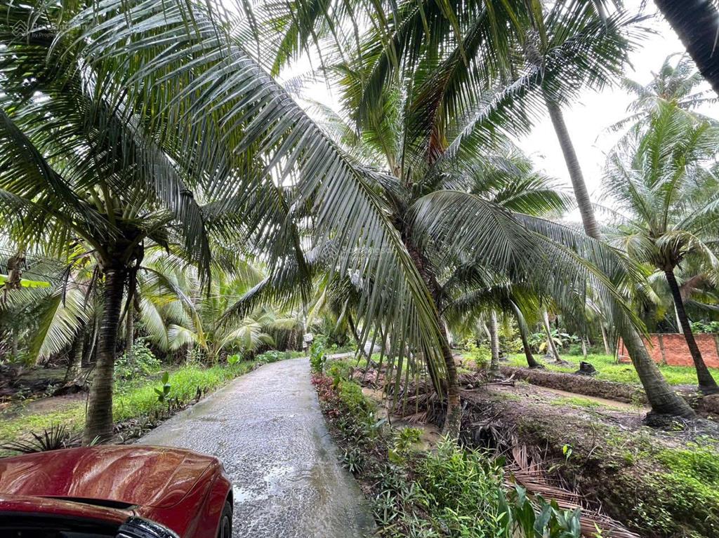 Đất vườn dừa 144m2 (100m2 thổ cư) chỉ 250tr. cách tphcm 75km, cách đường nhựa chỉ 80m