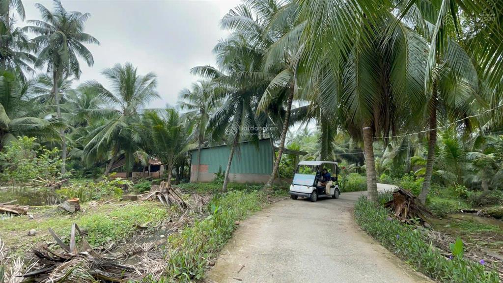 Đất vườn dừa 144m2 (100m2 thổ cư) chỉ 250tr. cách tphcm 75km, cách đường nhựa chỉ 80m