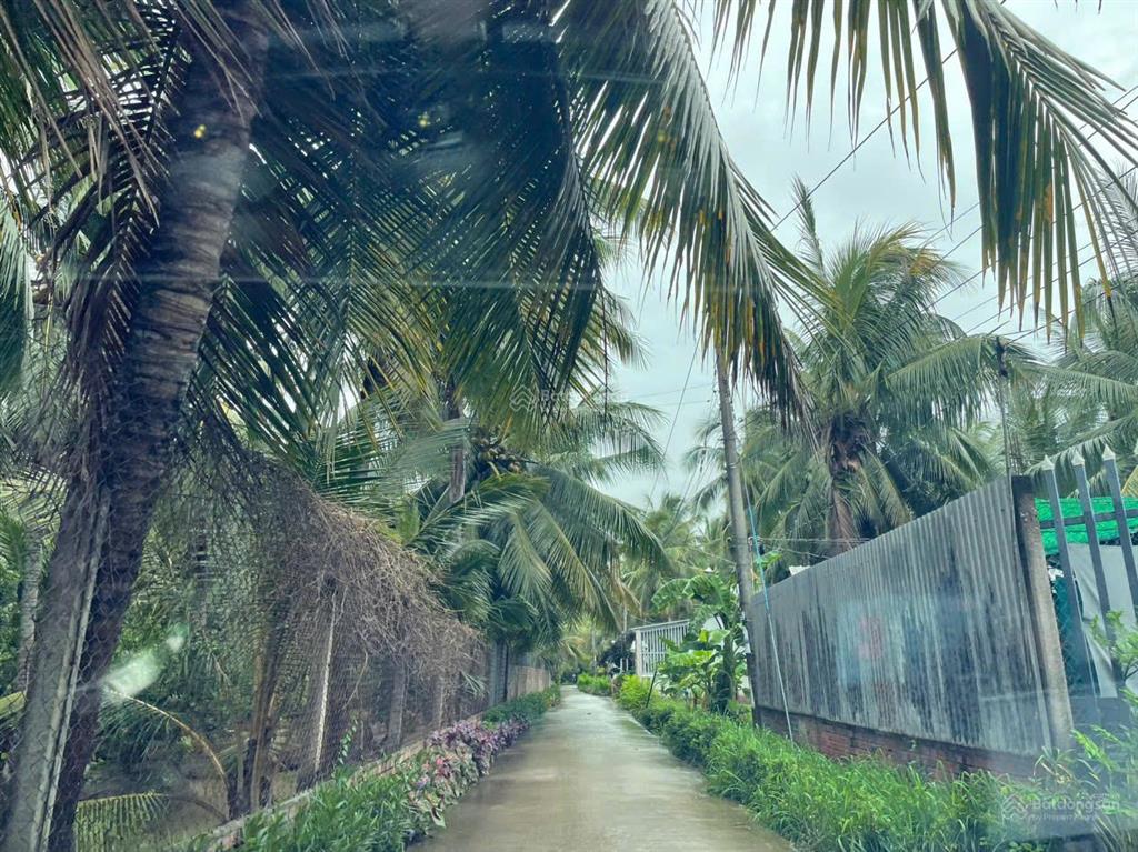 Đất vườn dừa 144m2 (100m2 thổ cư) chỉ 250tr. cách tphcm 75km, cách đường nhựa chỉ 80m