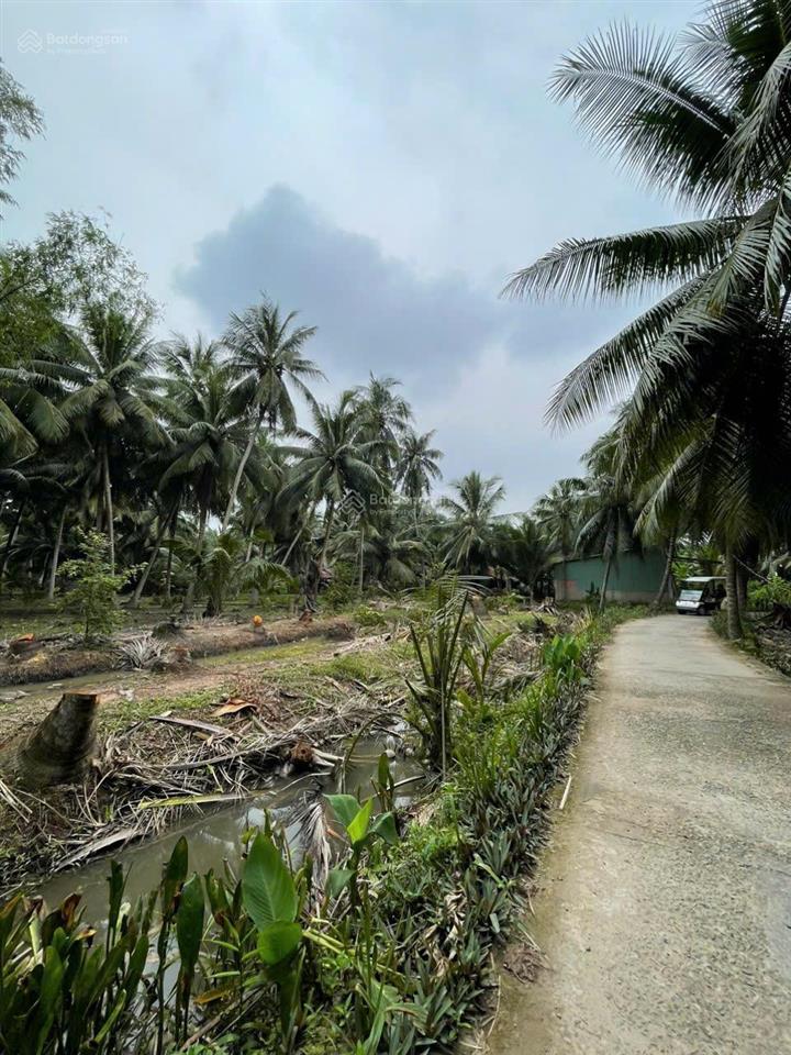 Đất vườn dừa 144m2 (100m2 thổ cư) chỉ 250tr. cách tphcm 75km, cách đường nhựa chỉ 80m