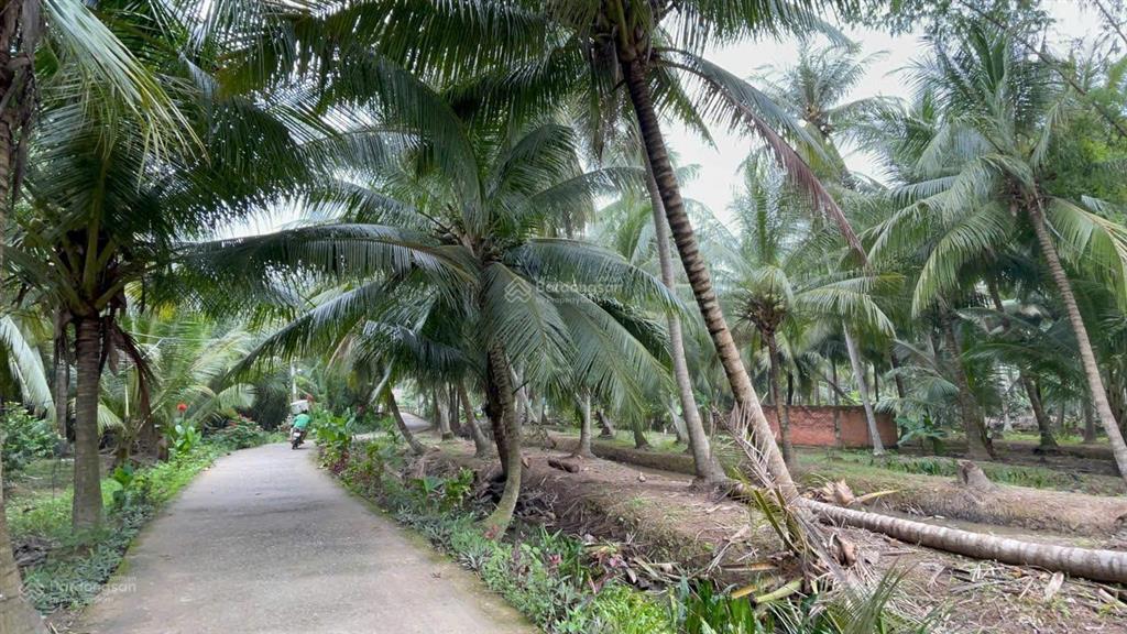Đất vườn dừa 144m2 (100m2 thổ cư) chỉ 250tr. cách tphcm 75km, cách đường nhựa chỉ 80m