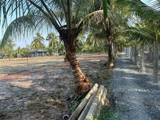 Đất vườn 3,313m2 giá tốt 380tr/công. mặt tiền dài 114m rộng rãi tại tân phú đông, tiền giang