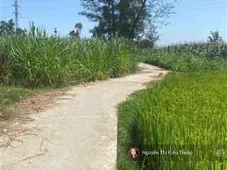411m2 đất vườn quy hoạch đất ở giá siêu rẻ tại tp quảng ngãi chỉ 99 triệu