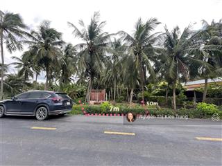 350m2 (7x50) mặt tiền đường tỉnh 877b  kinh doanh sầm uất đầu tư giá hời chỉ 799 triệu