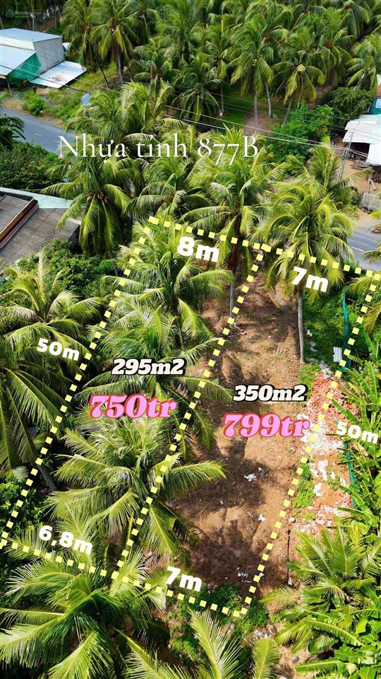 324m2 (8x50) mặt tiền đường tỉnh 877b  kinh doanh sầm uất đầu tư giá hời chỉ 799 triệu