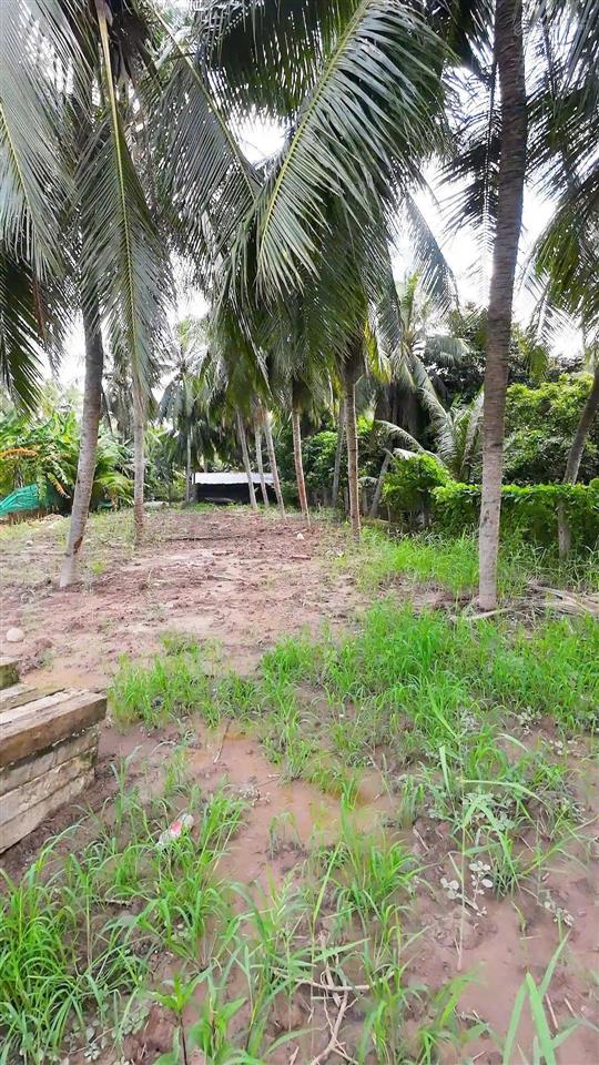 324m2 (8x50) mặt tiền đường tỉnh 877b  kinh doanh sầm uất đầu tư giá hời chỉ 799 triệu