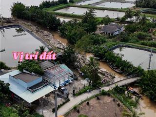 Nhà ven sông và trọn bộ đất mặt tiền sông tân phú đông tiền giang 4.200m² giá chỉ 273tr/công