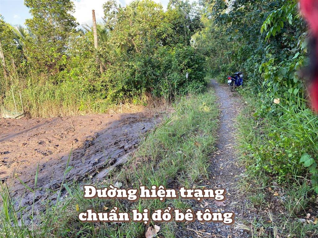 5.345m² đất mặt tiền sông siêu đẹp giá siêu êm 265 triệu/1.000m²