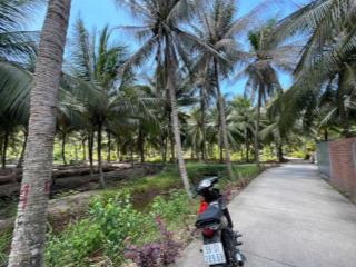 Đất đẹp giá rẻ quy hoạch full đất ở nông thôn giá chỉ 139 triệu tại tân phú đông, tiền giang